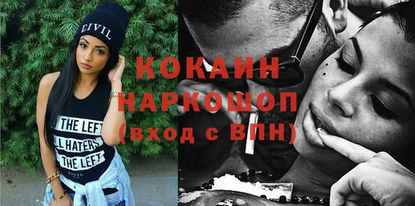 индика Верхний Тагил