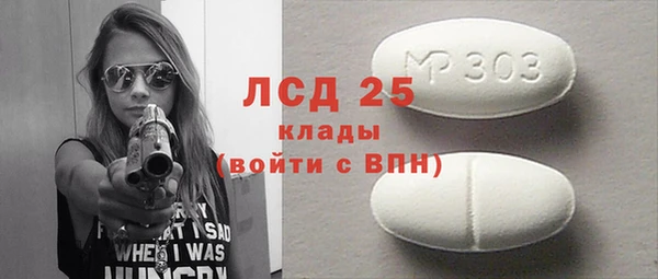 индика Верхний Тагил