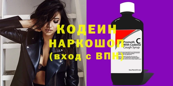 индика Верхний Тагил