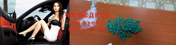 индика Верхний Тагил