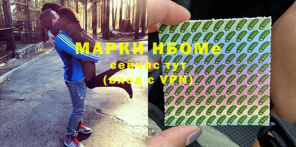 индика Верхний Тагил