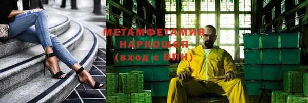 индика Верхний Тагил