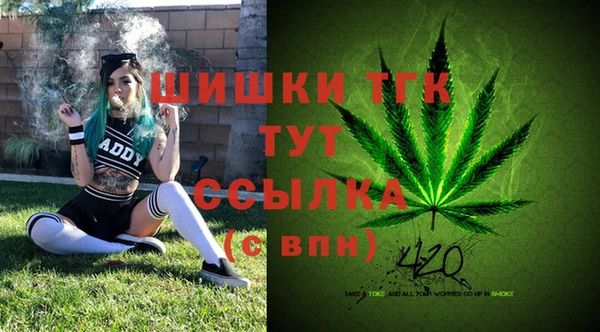 индика Верхний Тагил