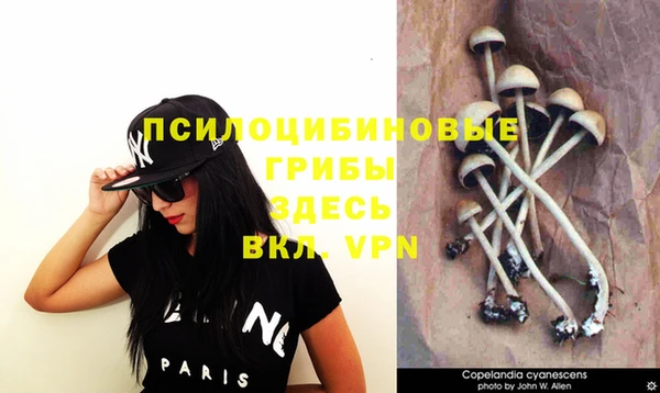 ALPHA PVP Верхнеуральск