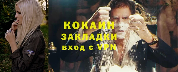индика Верхний Тагил