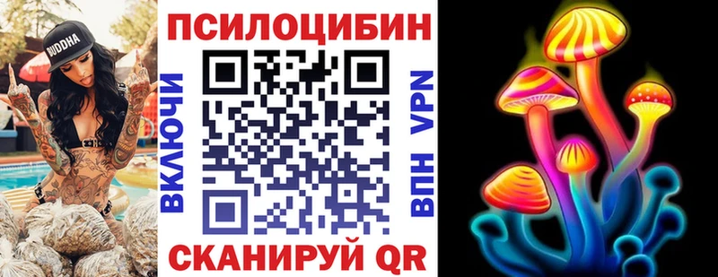 купить  цена  Сызрань  Галлюциногенные грибы прущие грибы 